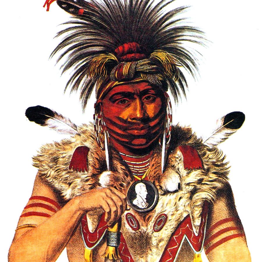indian-warrier-l-1